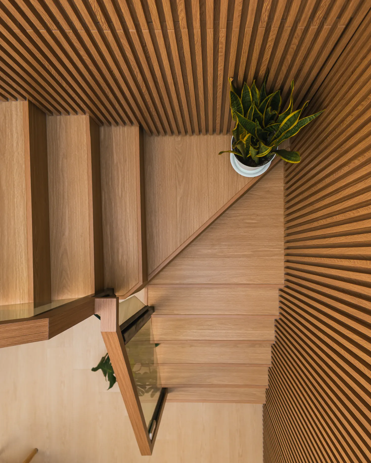 Looking down the stair through the continuous oak fluting